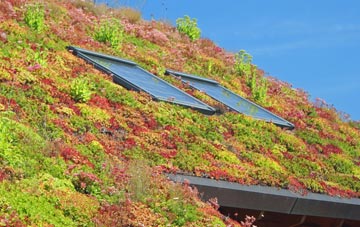 Brick End living roof systems